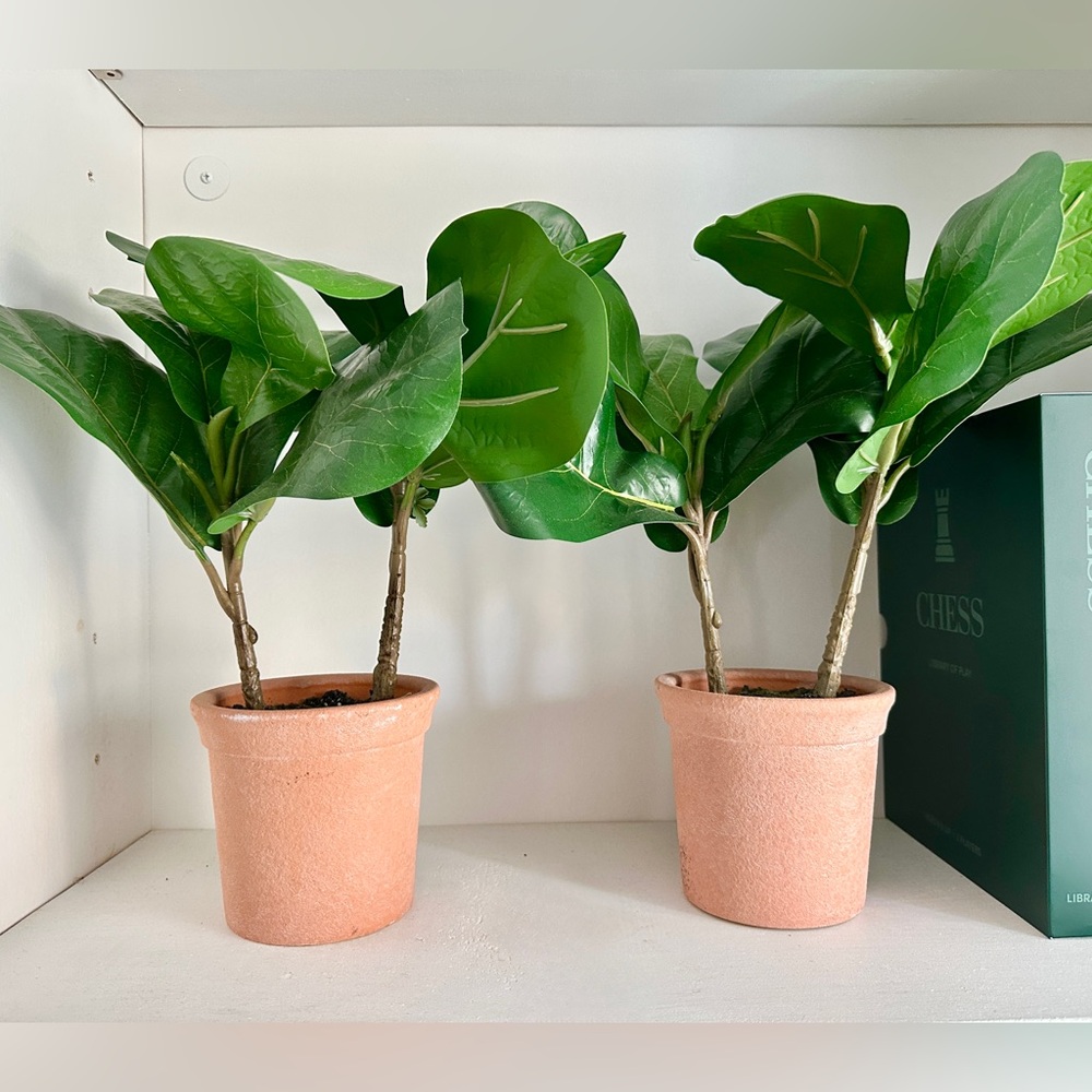(2) Hearth & Hand artificial Fiddle Leaf Fig in Terracotta Pot